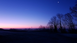Gallery image 25